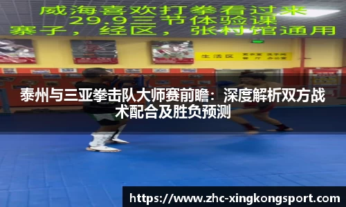 泰州与三亚拳击队大师赛前瞻：深度解析双方战术配合及胜负预测